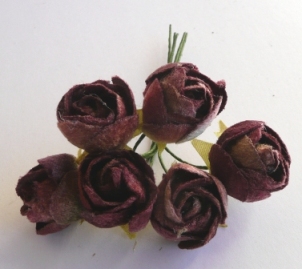 Velvet Dogwood Rose Plum